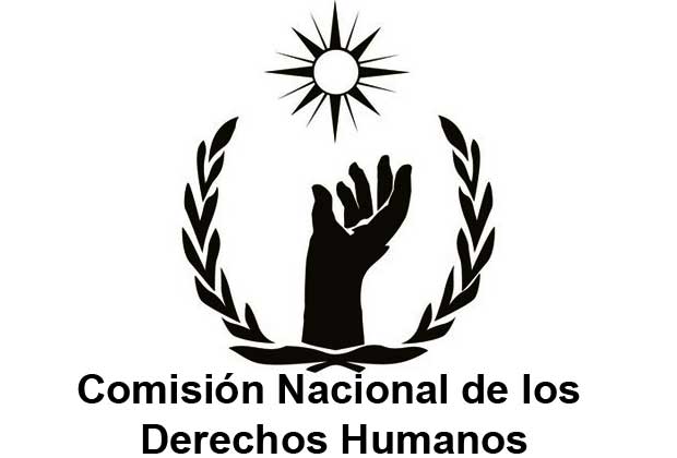 comision-nacional-de-los-derechos-humanos.jpeg